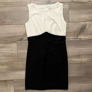 Anne Taylor Loft Vintage Dress Size 2